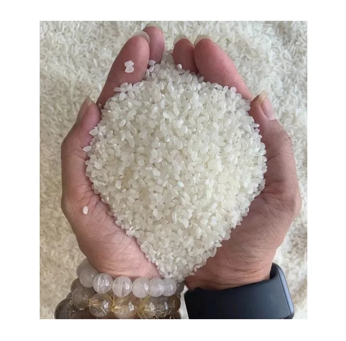 Wholesale Orsafarm Specialty Japanese Japonica Seed Rice (5kg) Round Rice High Protein Japonica Rice Short Grain for Sushi