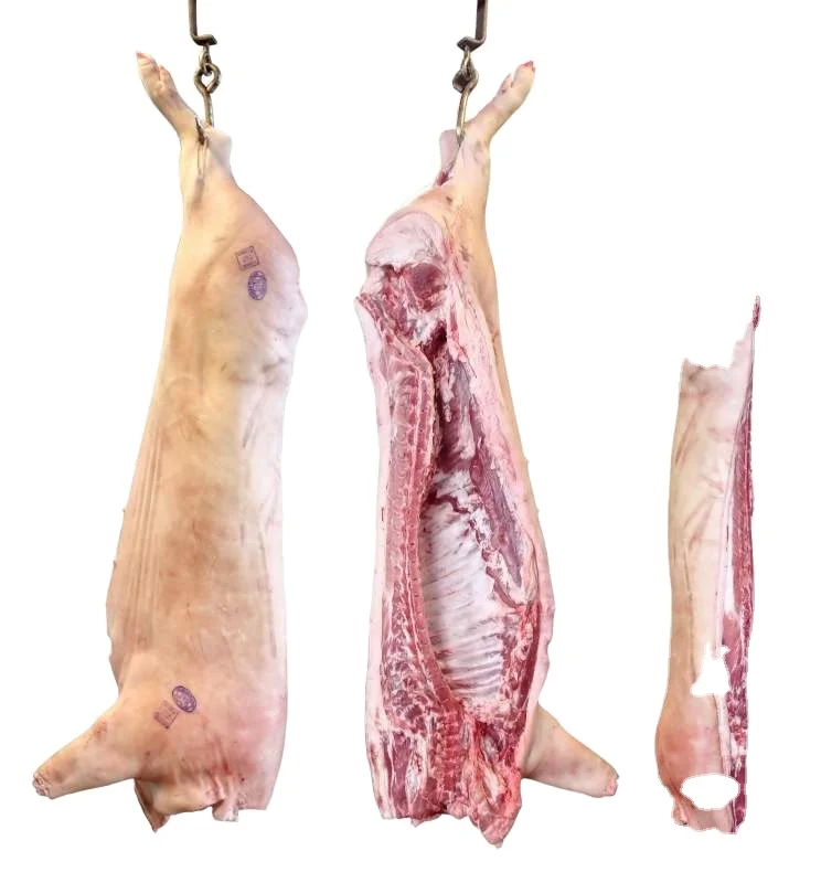 Freshly Slaughtered Mutton / Beef, Lamb / Sheep / Goat Whole Carcass and Meat Parts Bulk Quantity Top Supplier