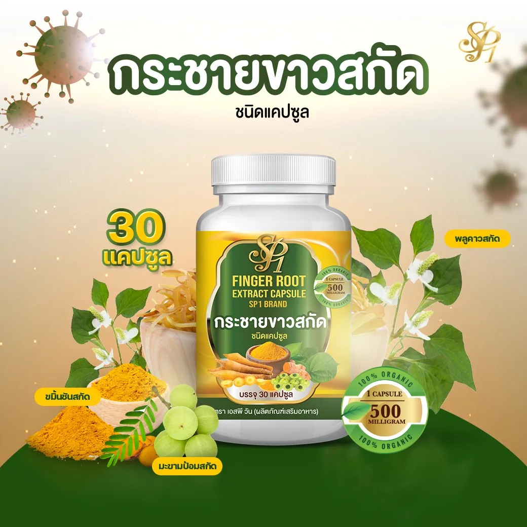 
Figer Root Extract Capsule product of Thailand 