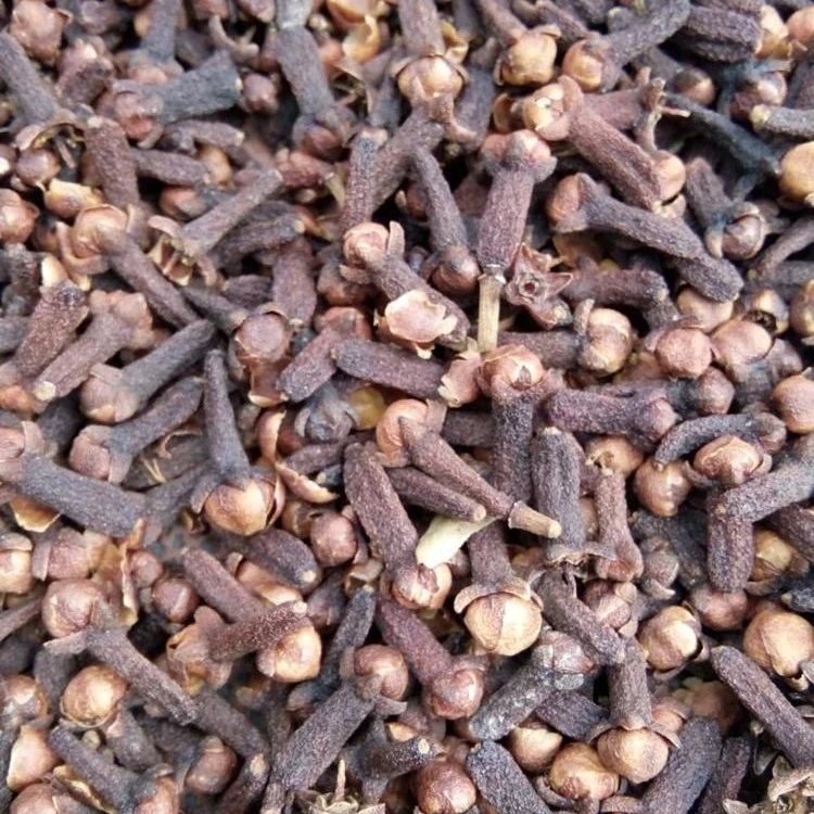 Гвоздика LalPari, красновато-коричневый цвет, хорошее качество и хорошая цена