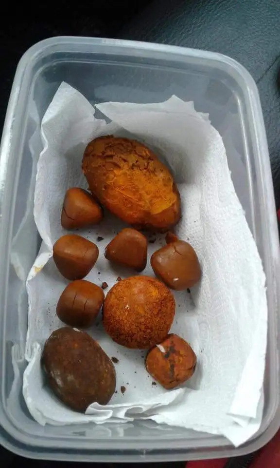 Best Price Cow Gallstones / Ox Gallstones./