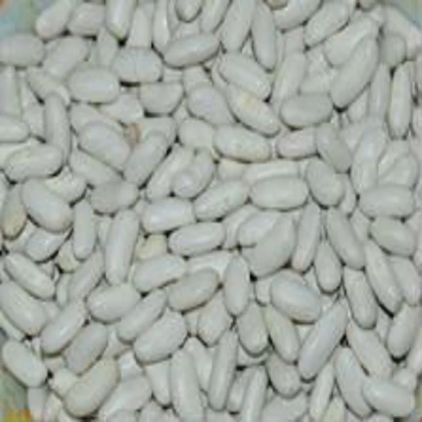 Цена и качество-белая длинная фасоль для Австралии