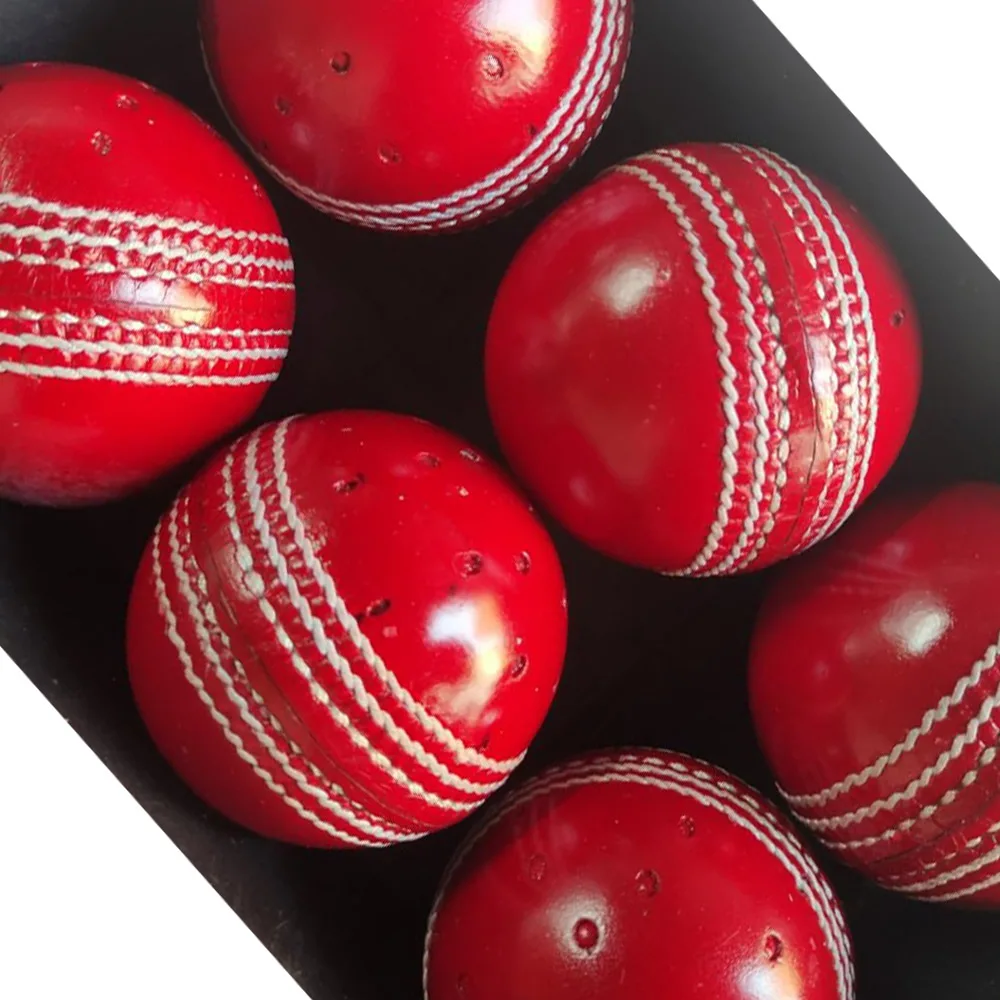 Swinger Cricket Ball for Training & Coaching