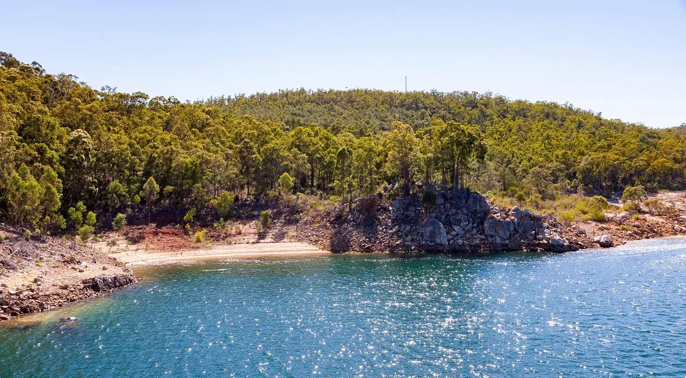 
260g Natural Premium Caramel Raw Mono-Floral Honey Bee TA35+ Marri Honey In Mason Jar Packaging 