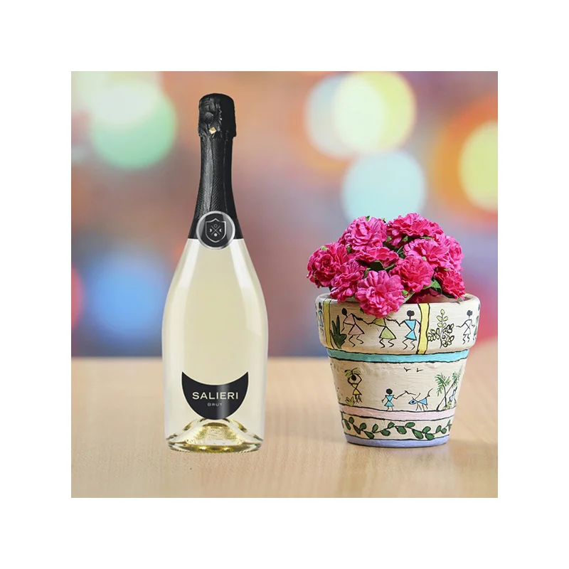 Best Quality Made in Italy Salieri Brut 0,75L 6pcs x Box For Sale