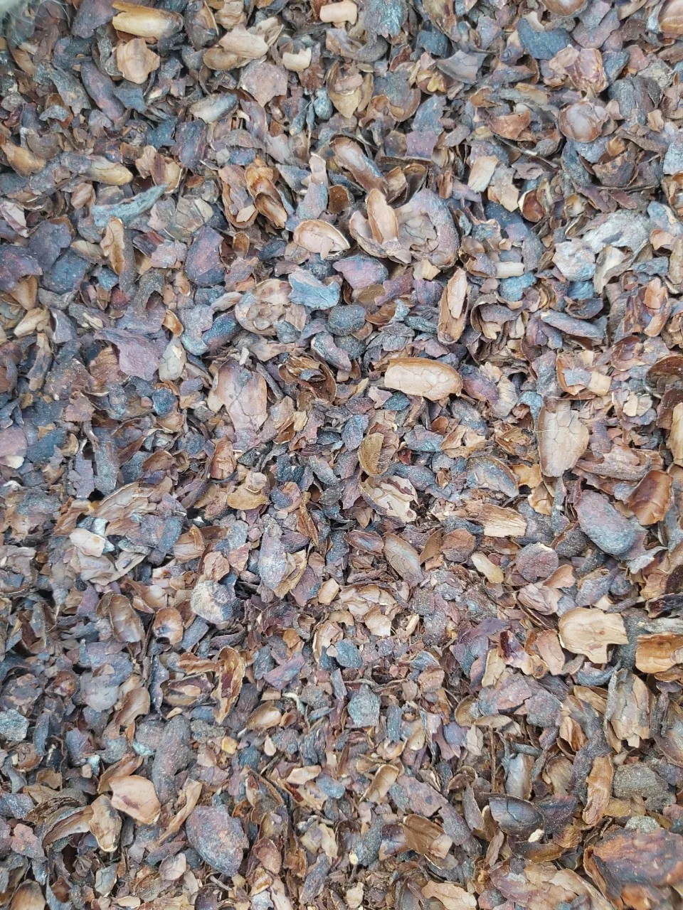 Wholesale Cocoa Husk, Cocoa Bean Pods, Cocoa Beans Shell For Cocoa Powder Making