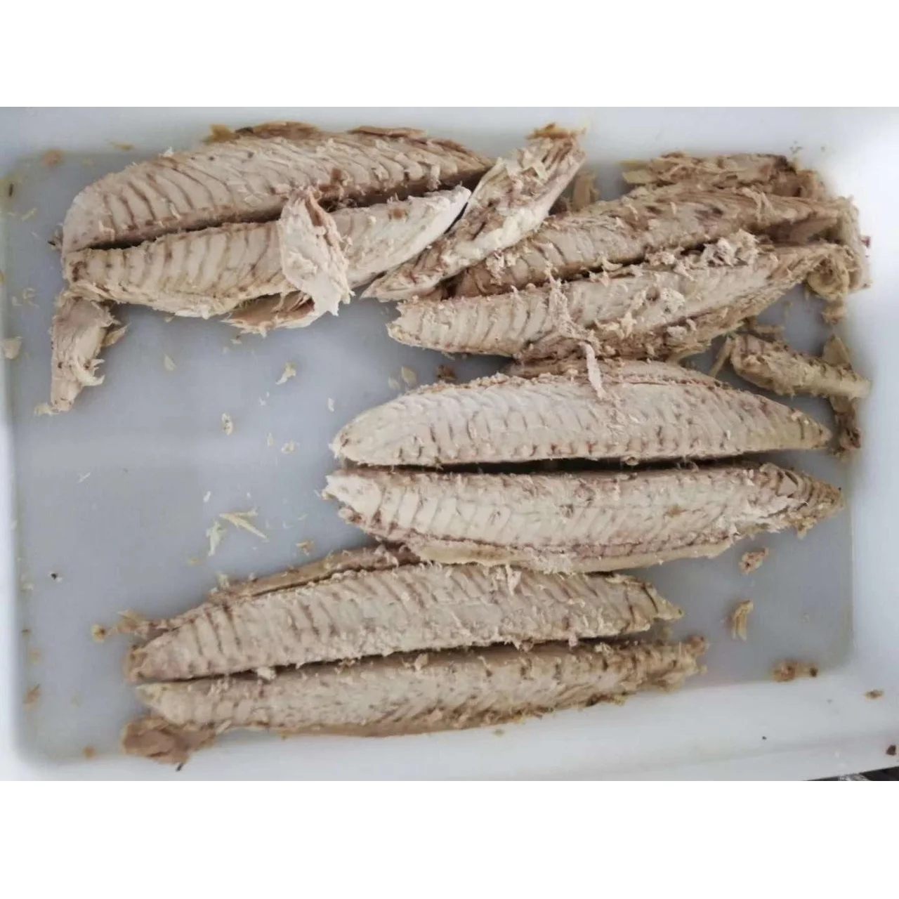 Katsuwonus pelamis IQF Frozen Skipjack Tuna Loin in Boneless Dark Meat Removed Cleaned from Pacific Indian Ocean
