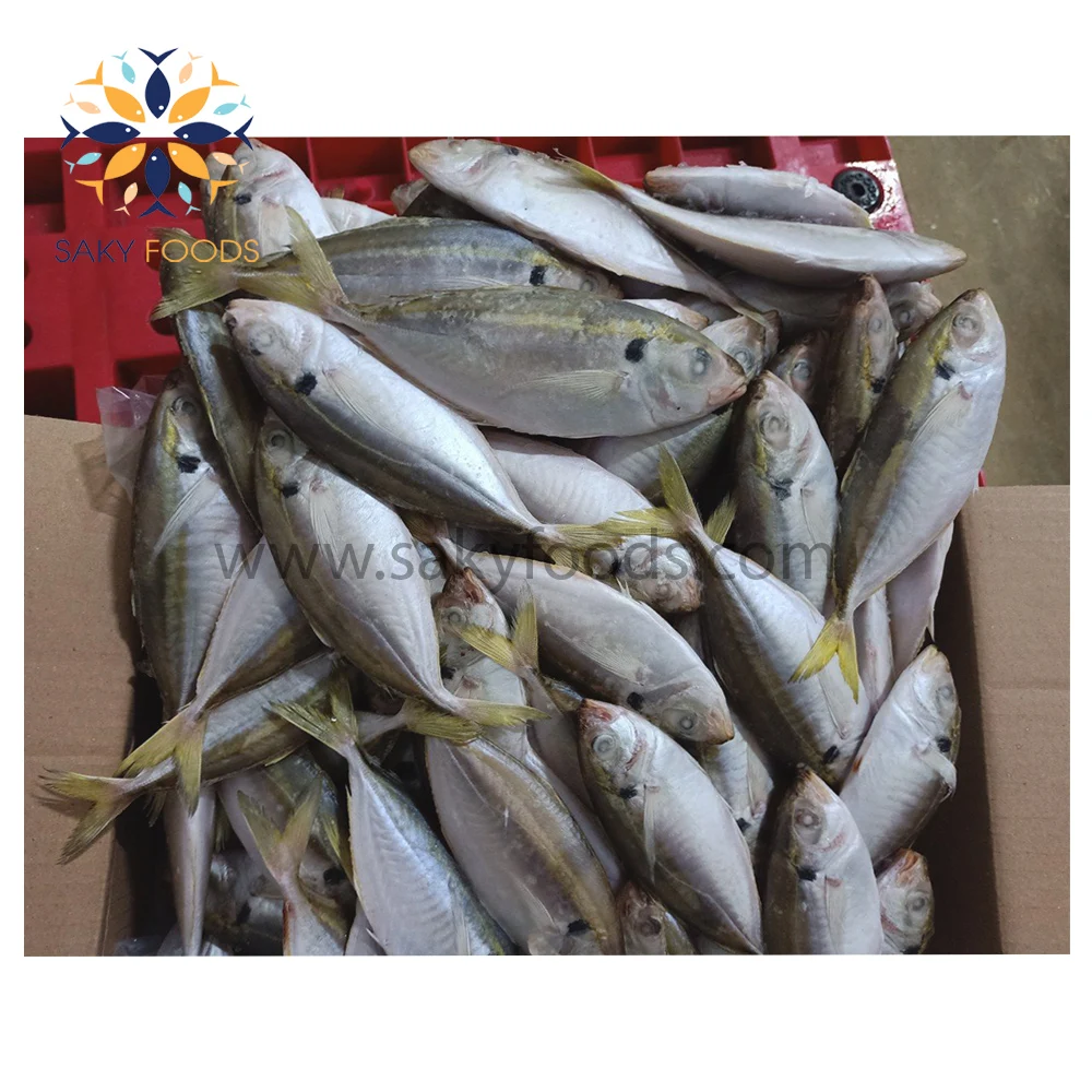 Wholesale Frozen Yellow Stripe trevally fish with sale good price