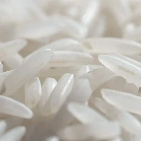  Jasmine Rice ( Thai Fragrant ) / Best Price