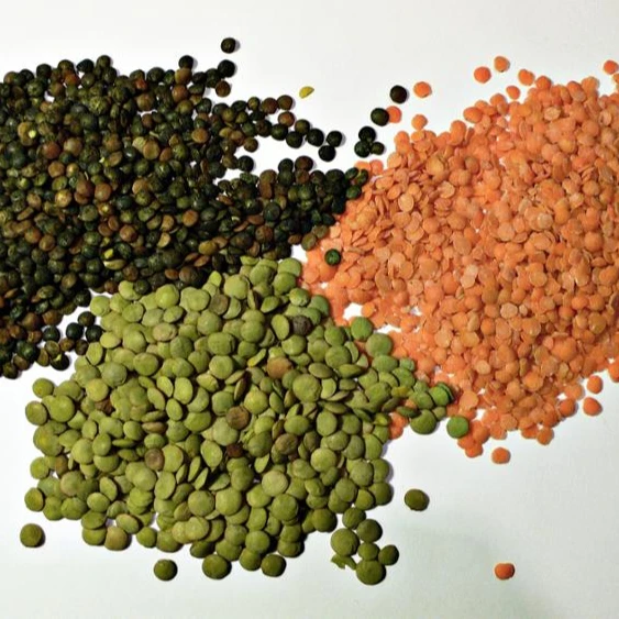 GREEN LENTILS / RED LENTILS / YELLOW LENTILS