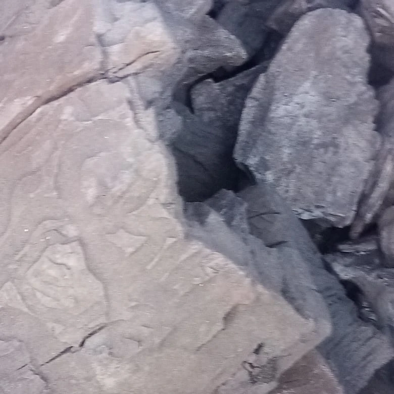 Бездымный уголь для барбекю