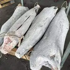 High Quality Frozen Seafood Swordfish For Sale