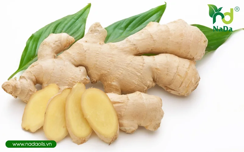 Имбирное масло для здоровья по лучшей цене/Jolene + 84 336089155