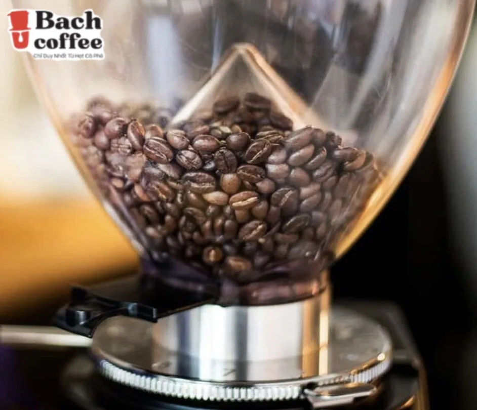 Вьетнамская Органическая кофе-Премиум кофейная смесь 100% ручной сборки-французское обжаренное-кофейные зерна Арабика робуста жареная