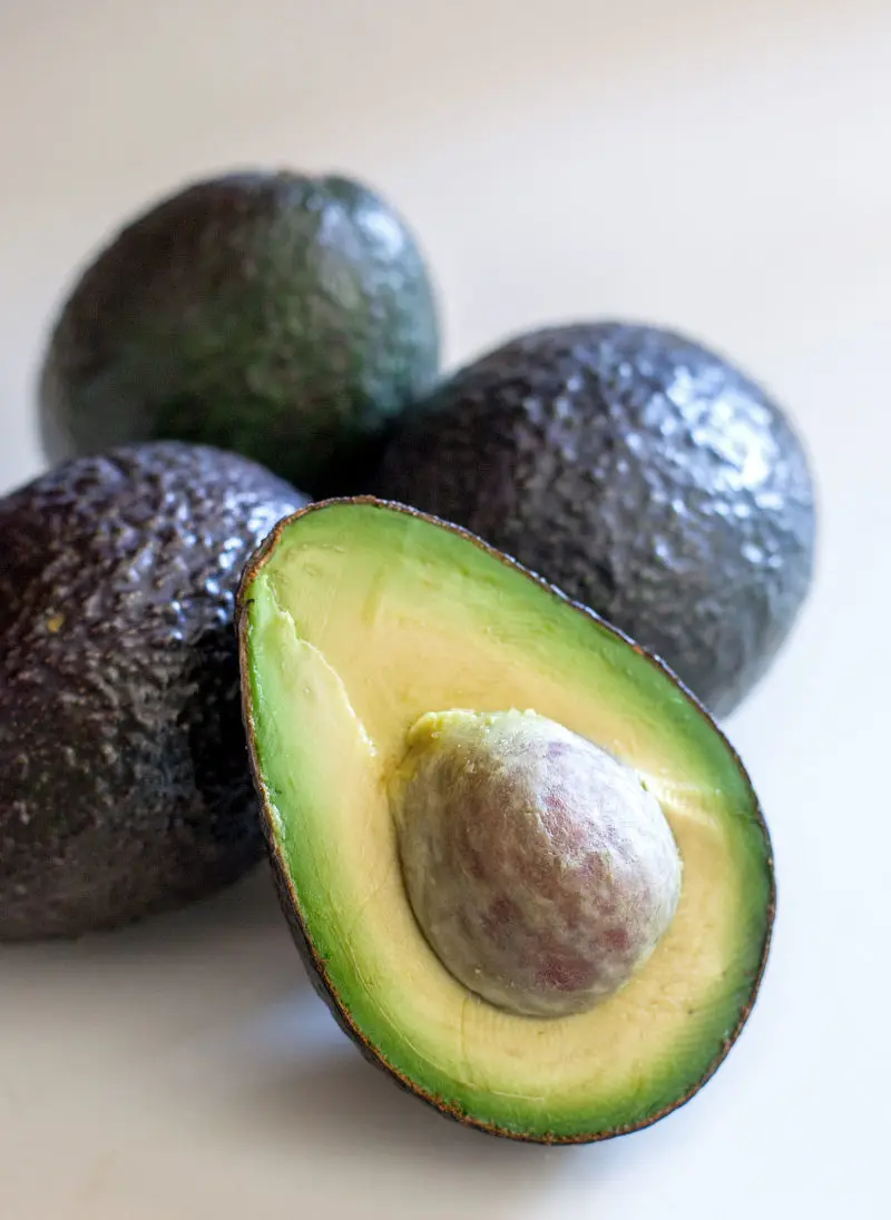 Cheap Fresh green avocado & Hass Avocado