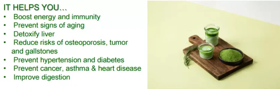 Best Selling & Top Quality Barley Sprout Powder, Organic Barley Sprout Powder from Haenam, South Korea