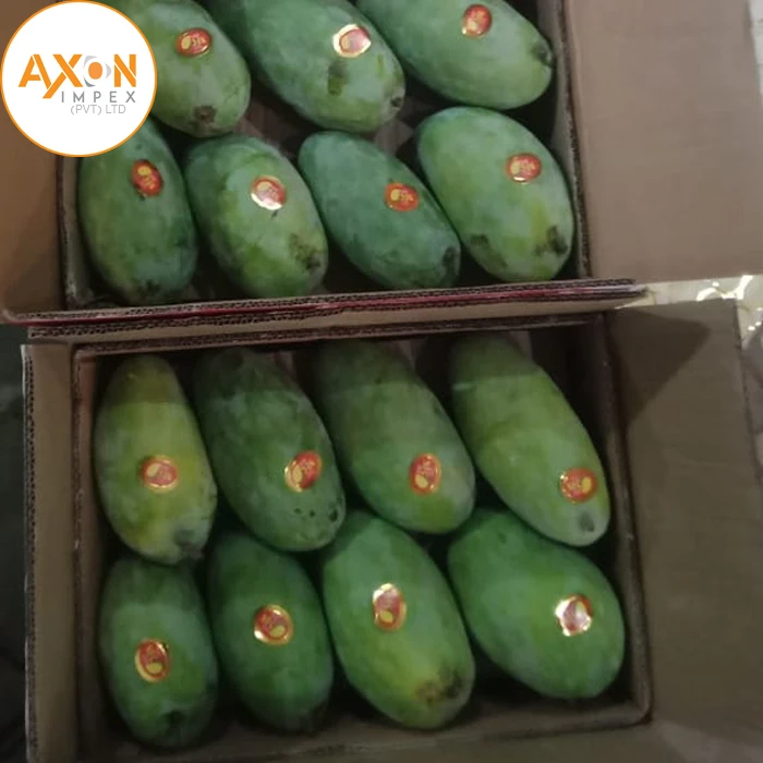 
Cheap Price Pakistani Chaunsa Mangoes 