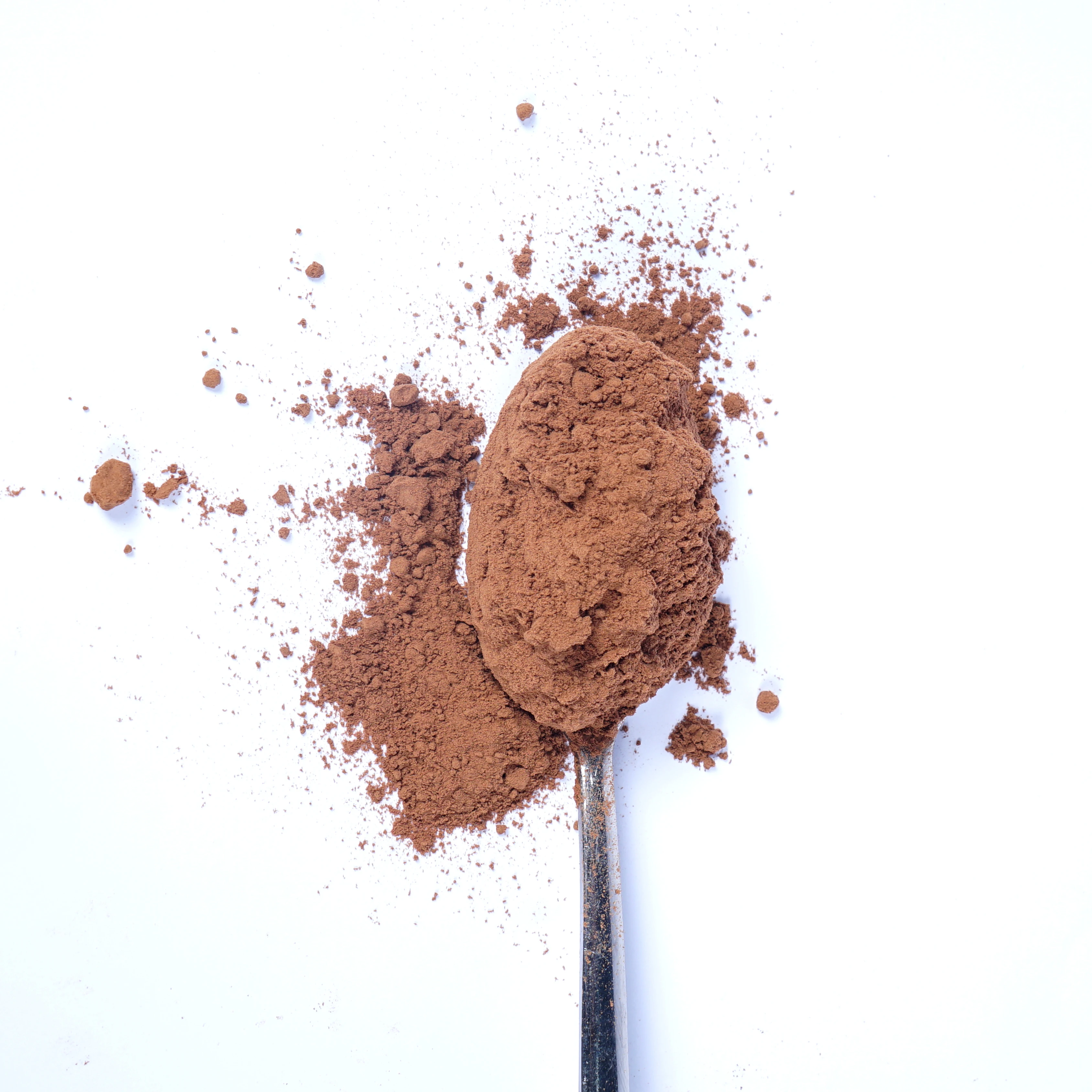 High Quality Natural Indonesia Cocoa Powder Halal