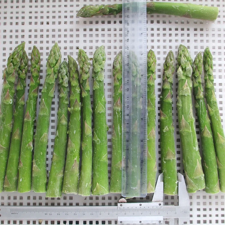 GREEN ASPARAGUS FRESH AT COMPETITIVE PRICE SUPPLIER FROM VIETNAM - MS. ELAINE +84 375 431 541