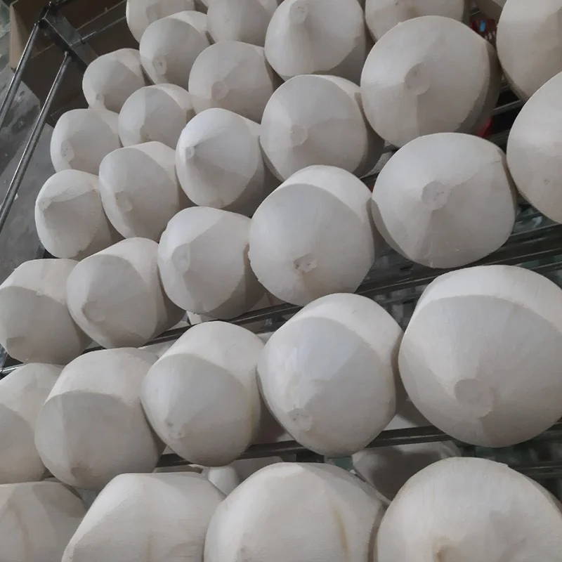Высококачественный свежий кокос вьетнамский продукт оптовая продажа Кокосовая/молодая Кокосовая продукция в форме алмаза оптом готовая к отправке