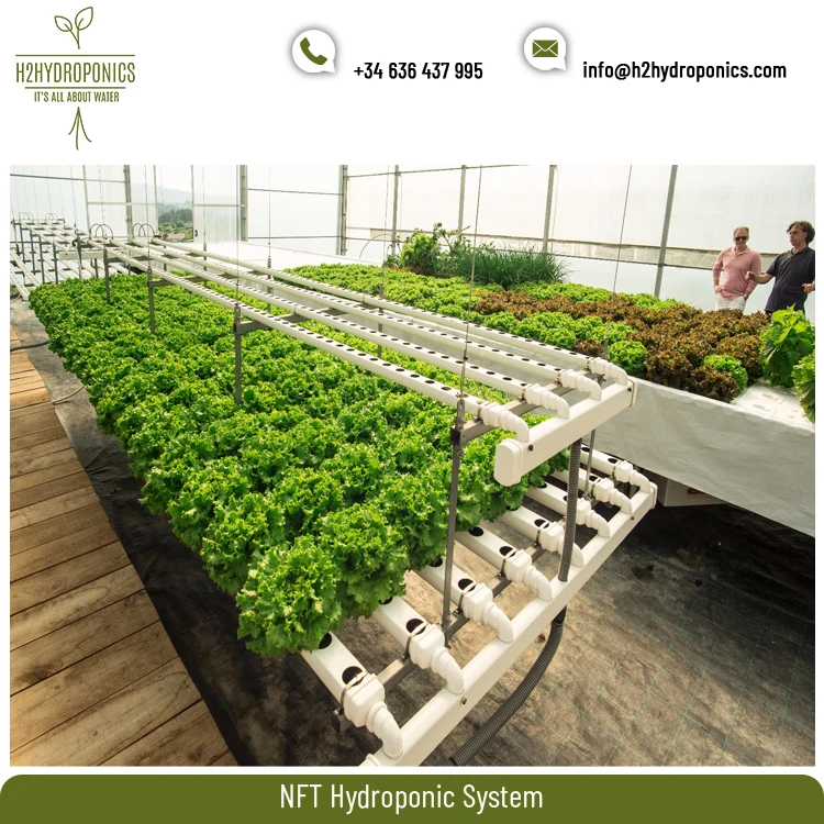 Top Listed Manufacturer of 2.1 mm Thickness Made Top Quality NFT Hydroponic System at Minimal Price