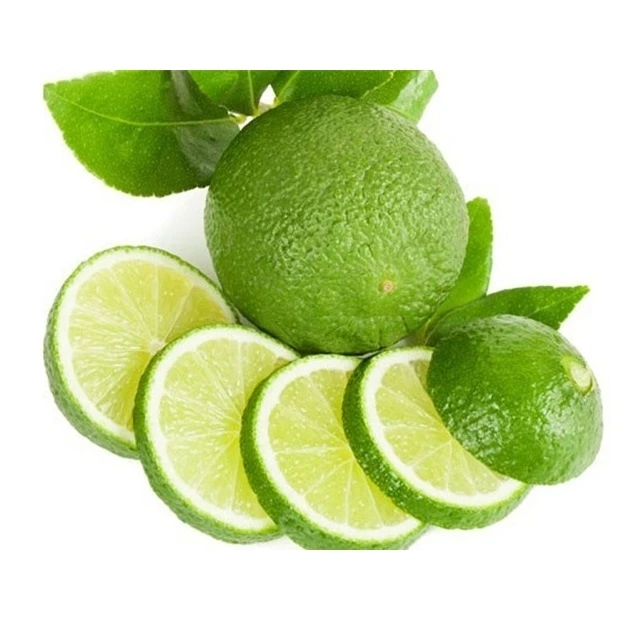 Fresh Citrus Fruit Seedless Lime from Vietnam Cheap Price FRESH SEEDLESS Wholesale GREEN LEMON Raw Origin