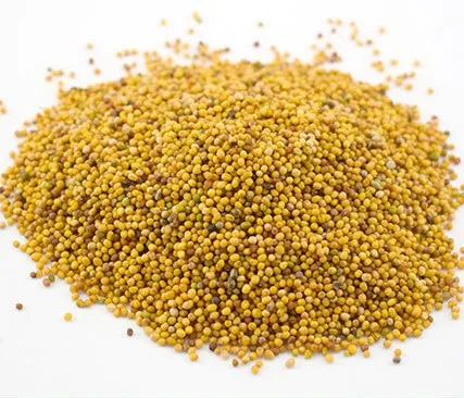 China spices wholesale factory directory sell  high-quality yellow mustard seed with low price