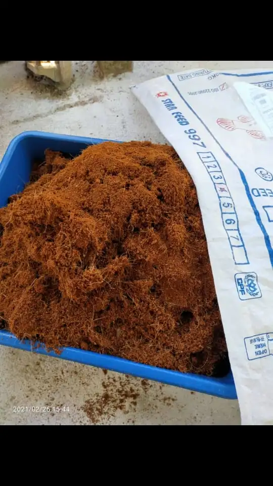 
Organic Natural Brown Coconut Peat Powder For All Season With High Quality 