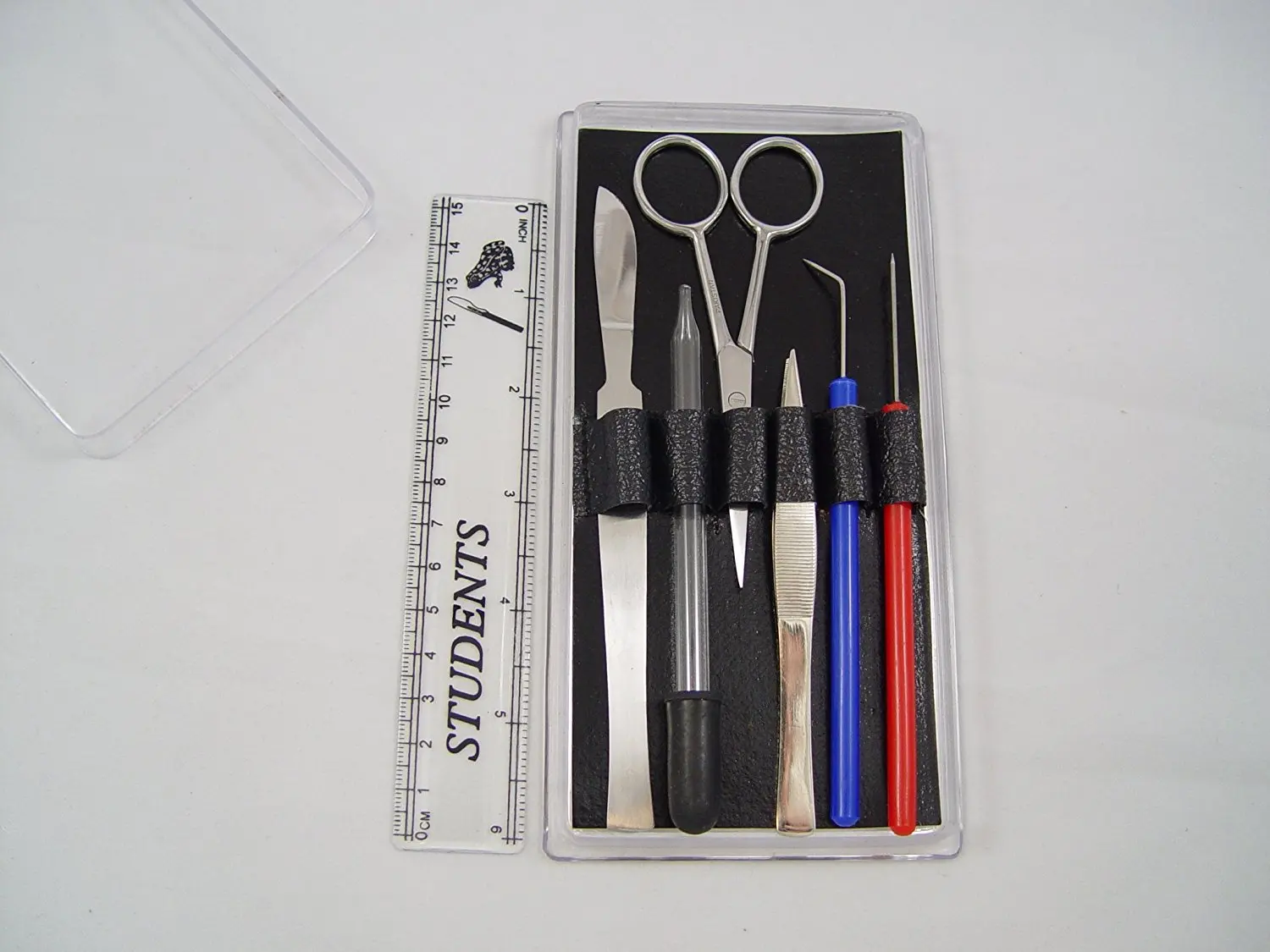 6 PCS BIOLOGY LAB ANATOMY MEDICAL STUDENT DISSECTING