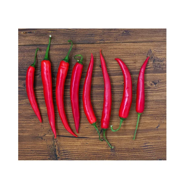 
Premium Quality Spices Red Chilli In Wholesale Price 