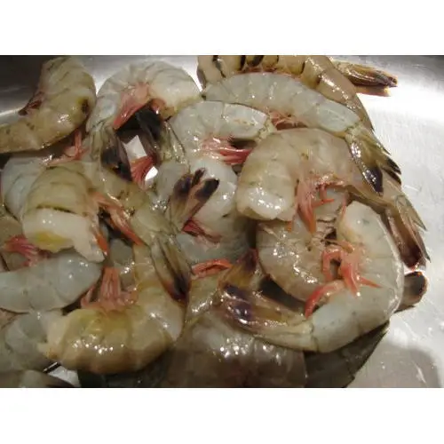 High Selling Fresh Frozen Whole Shrimp White / Black Tiger Shrimp