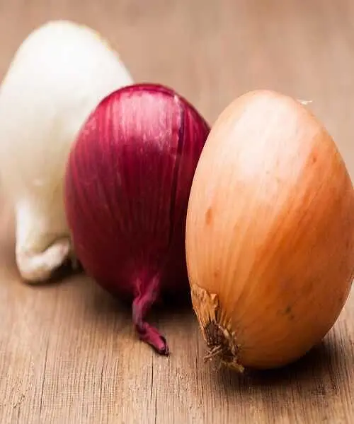 100% Natural Fresh onions from Pakistan