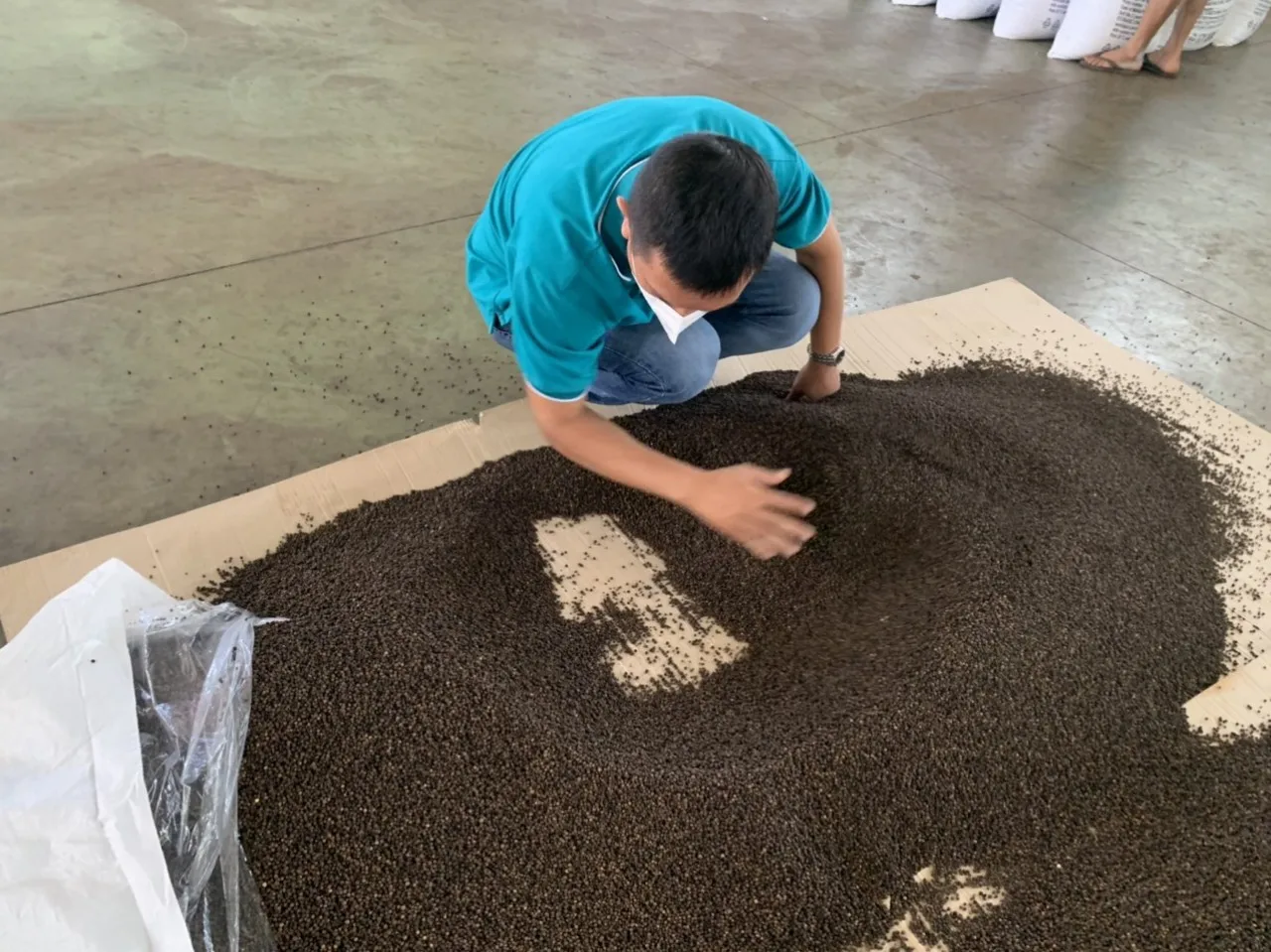 Hot Spices White and BLACK PEPPER 550 gl MC - 5MM Black pepper Vietnamese Origin for producing Seasonings WS +84 326055616