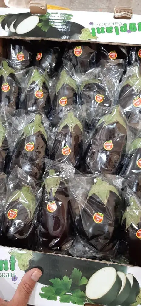 Fresh  eggplant