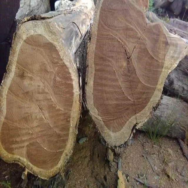 Бубинга или кевазинго древесина (guiburtia Spp.) Квадратные и круглые