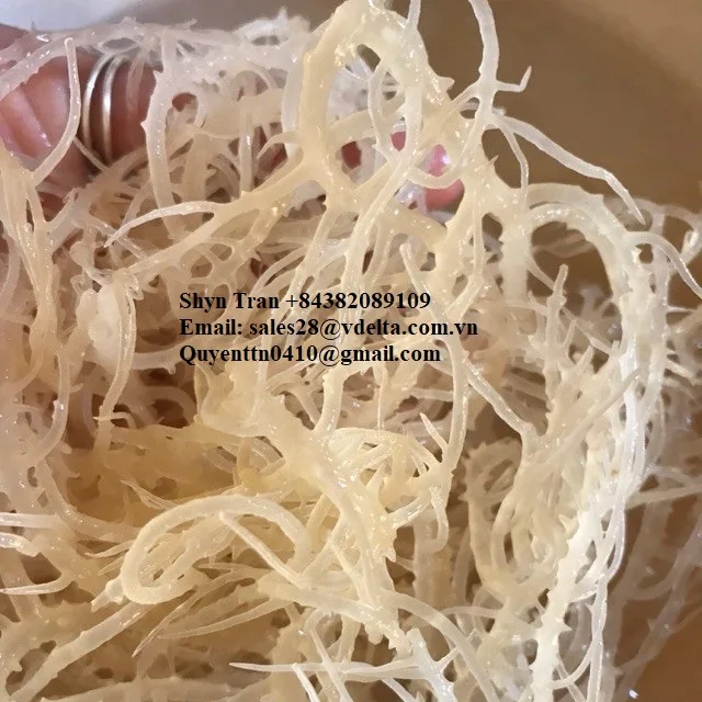 Недорогой Золотой морской Мох/фиолетовый Мох/Whatsapp
