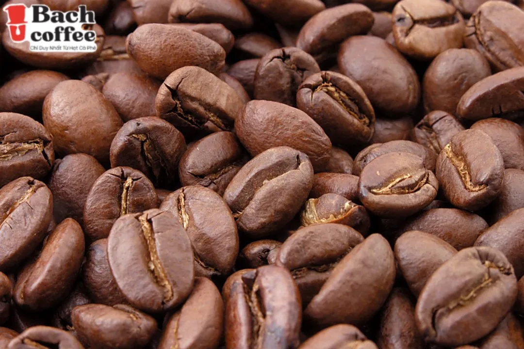 100% Decaffeinated Whole Coffee Beans Smooth Dark Roast Low Acidity All Natural Single Origin Caffeine Free.- Fair  Direct Trade