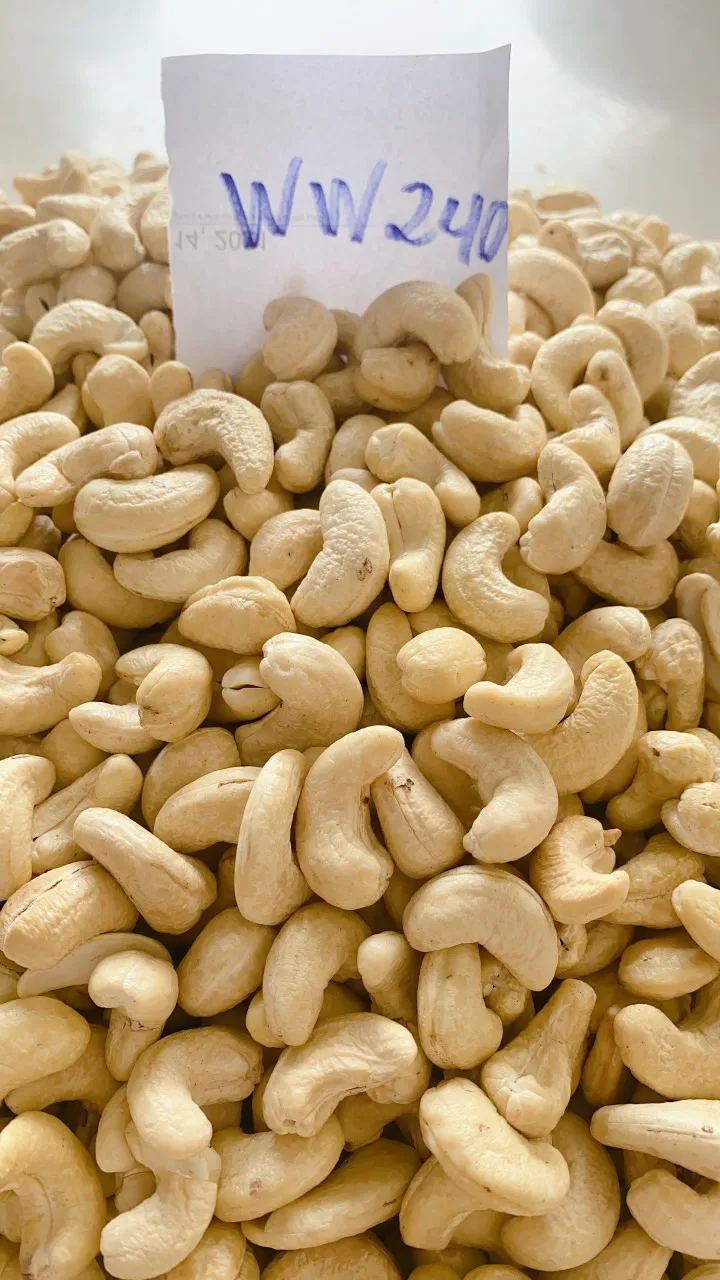 High Quality Cashews Nut Supplier Offers Raw Cashew Nuts In Shell