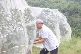 Тюлевая ткань 100% полиэстер тюль мягкая сетчатая оптовая продажа тюля во Вьетнаме