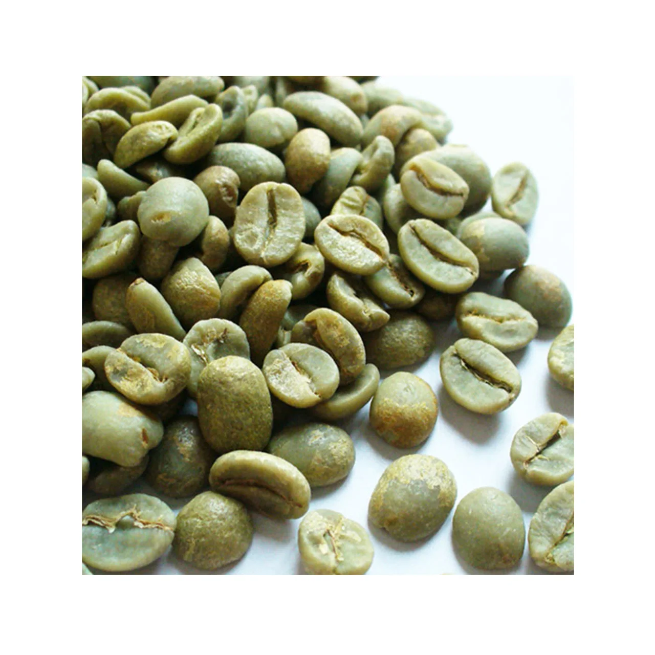 
Wholesaler Espresso Vietnam Coffee Vietnam Export Products Green Arabica Roasted Ground Coffee Arabia Coffee Bean Common 