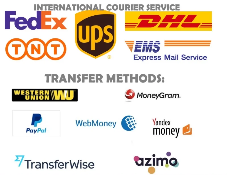 paste-pic-dp_uuid_orfo7