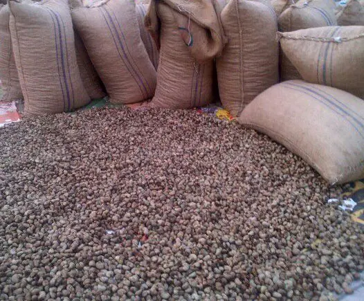 BEAUTIFUL RAW CASHEW NUTS