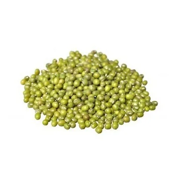 Quality Green Mung Beans EXPORTERS