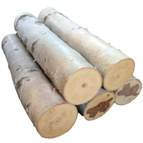 Quality White Birch Logs
