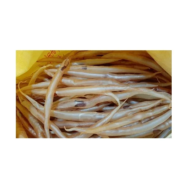 Best Quality Fish maw For Sale In Cheap Price
