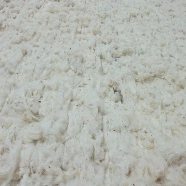 100% Natural Raw Cotton Exporter
