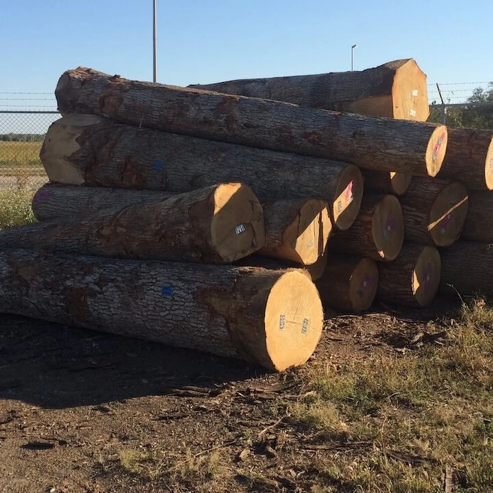 Beech Firewood Exporter - Beech Wood Firewood