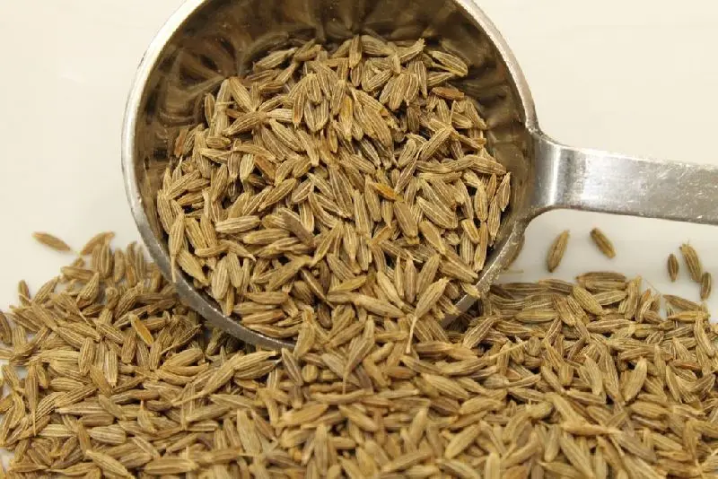 Premium quality cumin seeds at good price Nepal