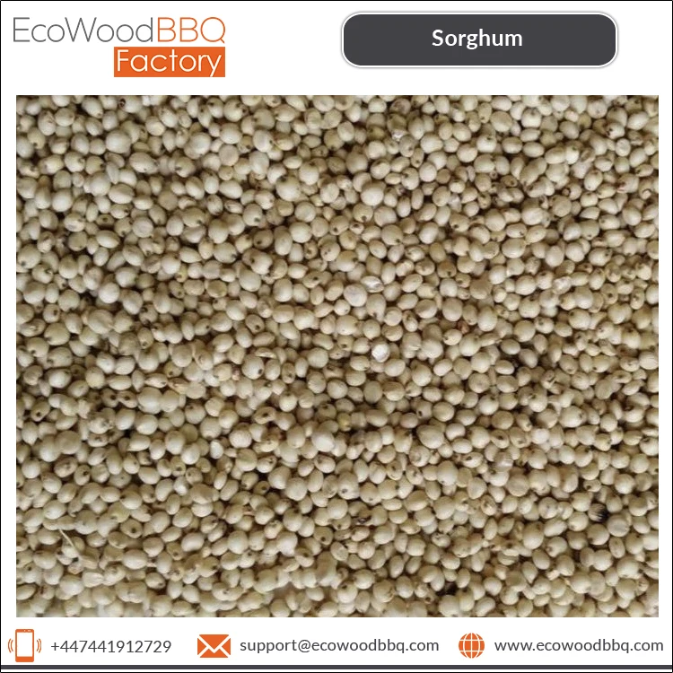 Direct Factory Price 100% Pure Natural Organic Bird Feed Sorghum Grains Kernel Seeds