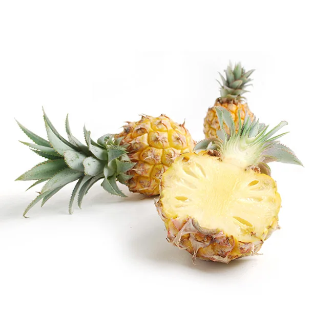 Best Price Baby Mini Size Pineapple High Nutrition Fruits Phulae Juicy Fruity Pineapple 30 Packs Per Box From Thailand